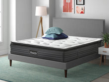 Load image into Gallery viewer, Premier Back Support Pro Firm Pocket Spring Mattress - Double