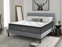 Load image into Gallery viewer, Premier Back Support Pro Firm Pocket Spring Mattress - Queen