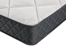 Load image into Gallery viewer, Pure Plus Foam Mattress with Protector & Pillow - King Single