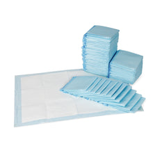 Load image into Gallery viewer, Puppy Training Pad - Set of 50 - M