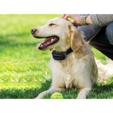 Load image into Gallery viewer, Anti Bark Collar