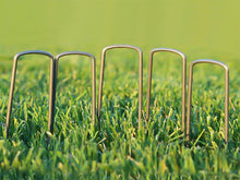 Load image into Gallery viewer, Weedmat Pins Weed Mat Pegs Weedmat Staples 200pcs