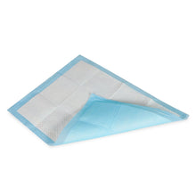 Load image into Gallery viewer, Puppy Training Pad - Set of 50 - M