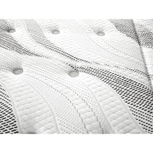 Load image into Gallery viewer, Premier Back Support Pro Firm Pocket Spring Mattress - Double