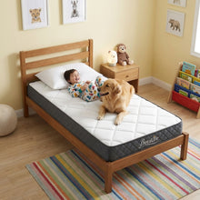 Load image into Gallery viewer, 23419-betalife-pure-plus-foam-mattress-with-protector-pillow-single-26040210