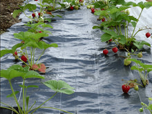 Load image into Gallery viewer, Weed Mat 2m x 100m
