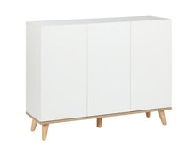 Load image into Gallery viewer, Hudson 3 Door Shoe Cabinet Storage Rack - White
