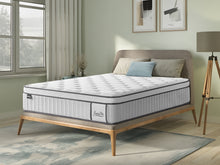 Load image into Gallery viewer, Natureblend Pro Memory Foam Medium Mattress -  Queen
