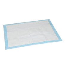 Load image into Gallery viewer, Puppy Training Pad - Set of 50 - M