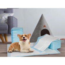 Load image into Gallery viewer, Puppy Training Pad - Set of 50 - M