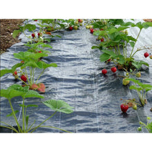 Load image into Gallery viewer, Weed Mat  1M x 100M (0.029m3 - 8.4kg)